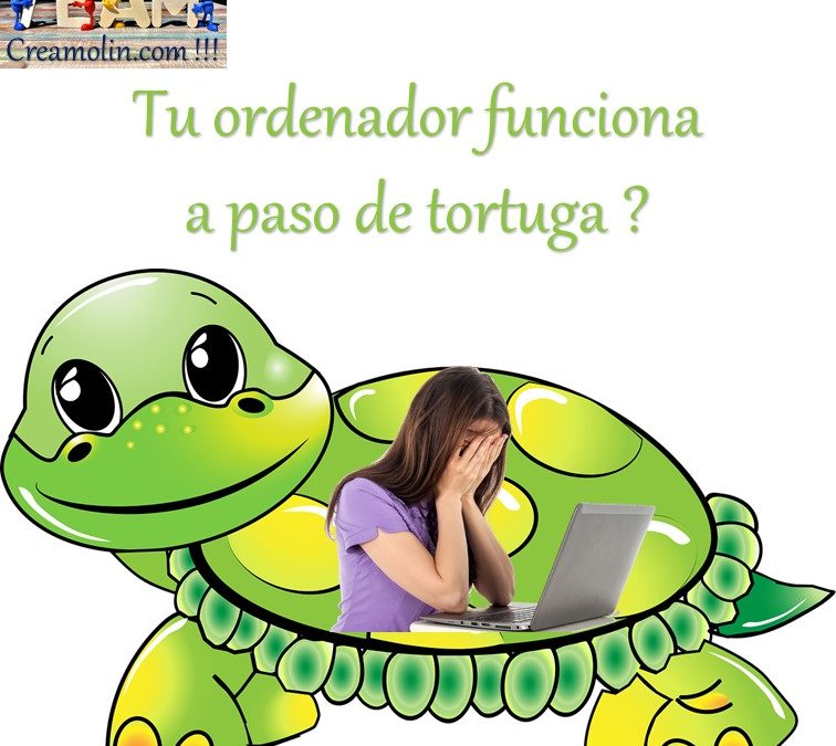 imagen-de-una-tortuga-y-una-chica-con-un-ordenador
